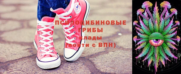 винт Алзамай