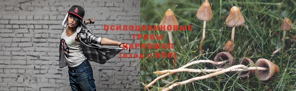 спайс Алексеевка