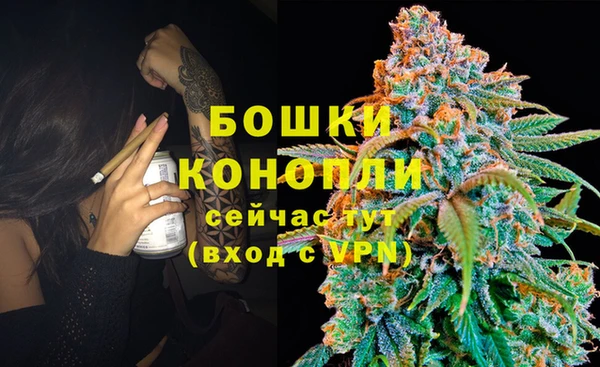 спайс Алексеевка