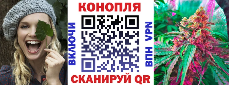 Бошки марихуана конопля  Снежногорск 